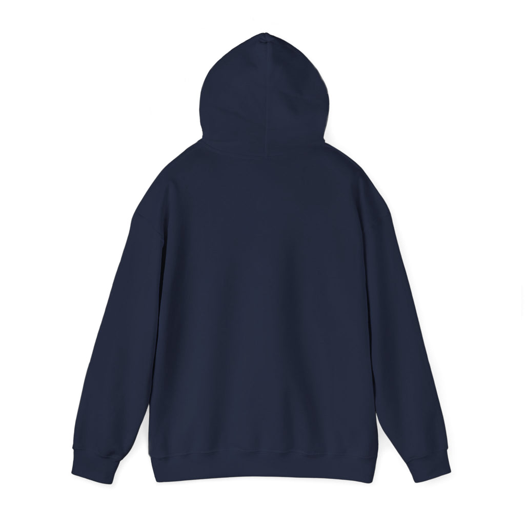 Faith Over Fear hoodie | Christian Scripture sweatshirt, Trust His Plan