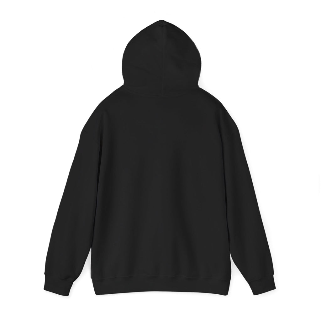 Faith Over Fear hoodie | Christian Scripture sweatshirt, Trust His Plan