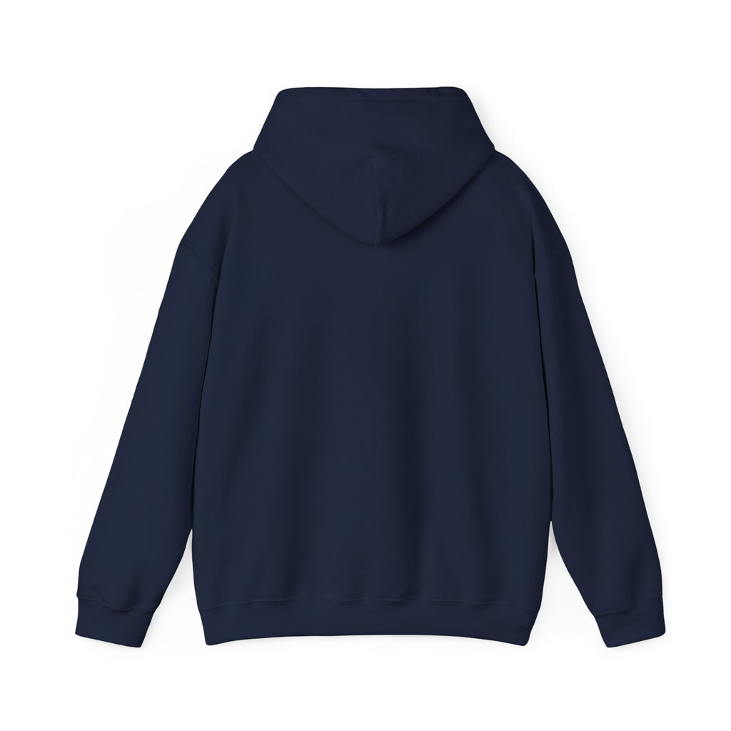 Faith Over Fear hoodie | Christian Scripture sweatshirt, Trust His Plan