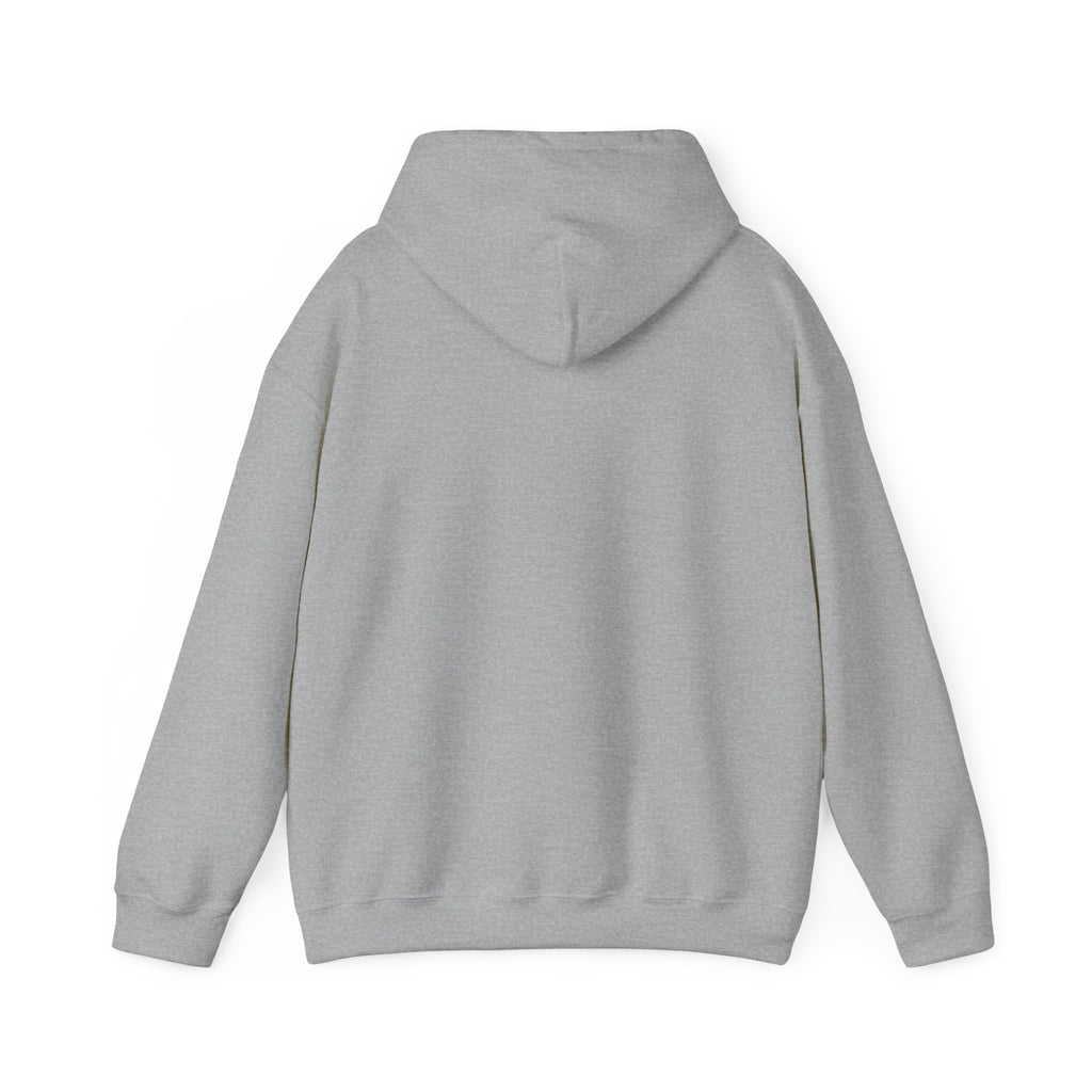 Faith Over Fear hoodie | Christian Scripture sweatshirt, Trust His Plan
