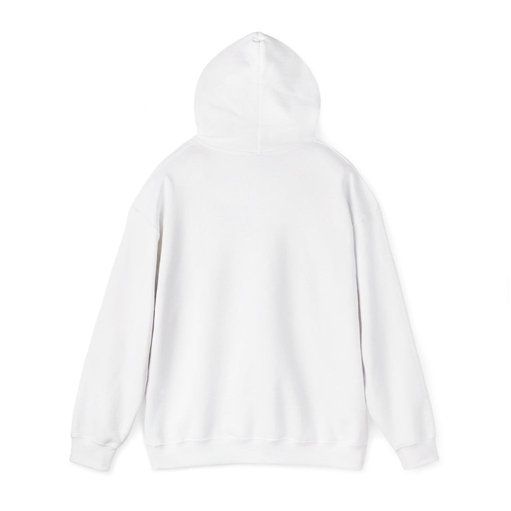 Faith Over Fear hoodie | Christian Scripture sweatshirt, Trust His Plan