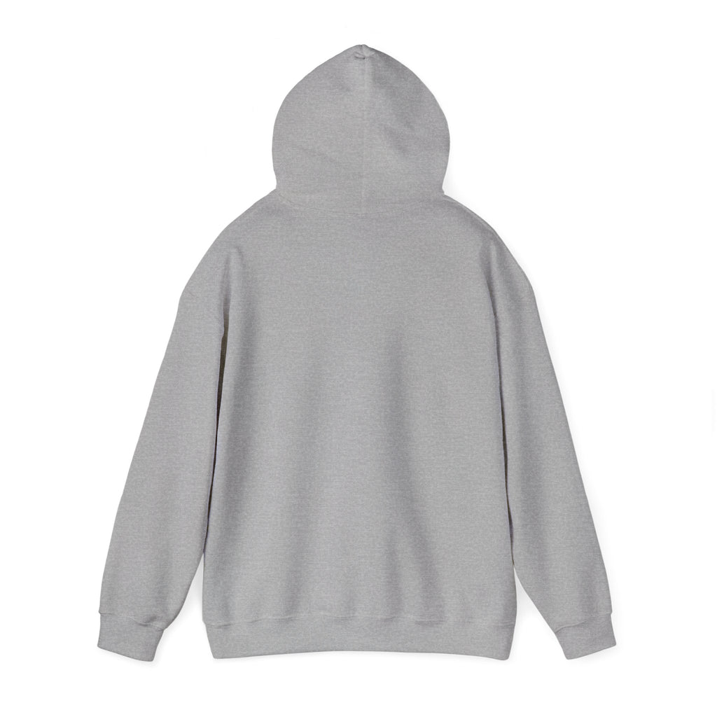 Faith Over Fear hoodie | Christian Scripture sweatshirt, Trust His Plan