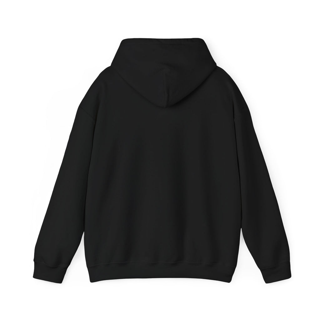 Faith Over Fear hoodie | Christian Scripture sweatshirt, Trust His Plan